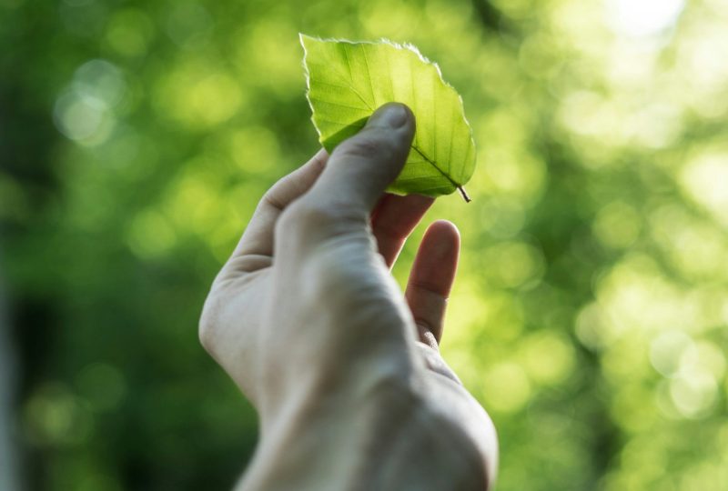 tobias-weinhold-hXPomXrpUP0-unsplash-scaled (1)